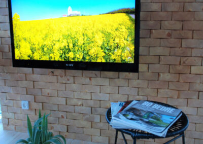 Wall decoration of solid wood. TV screen, table with magazines and flower
